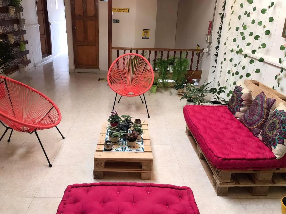 Hospedaje Casa Rosa Jardin Ngoại thất bức ảnh