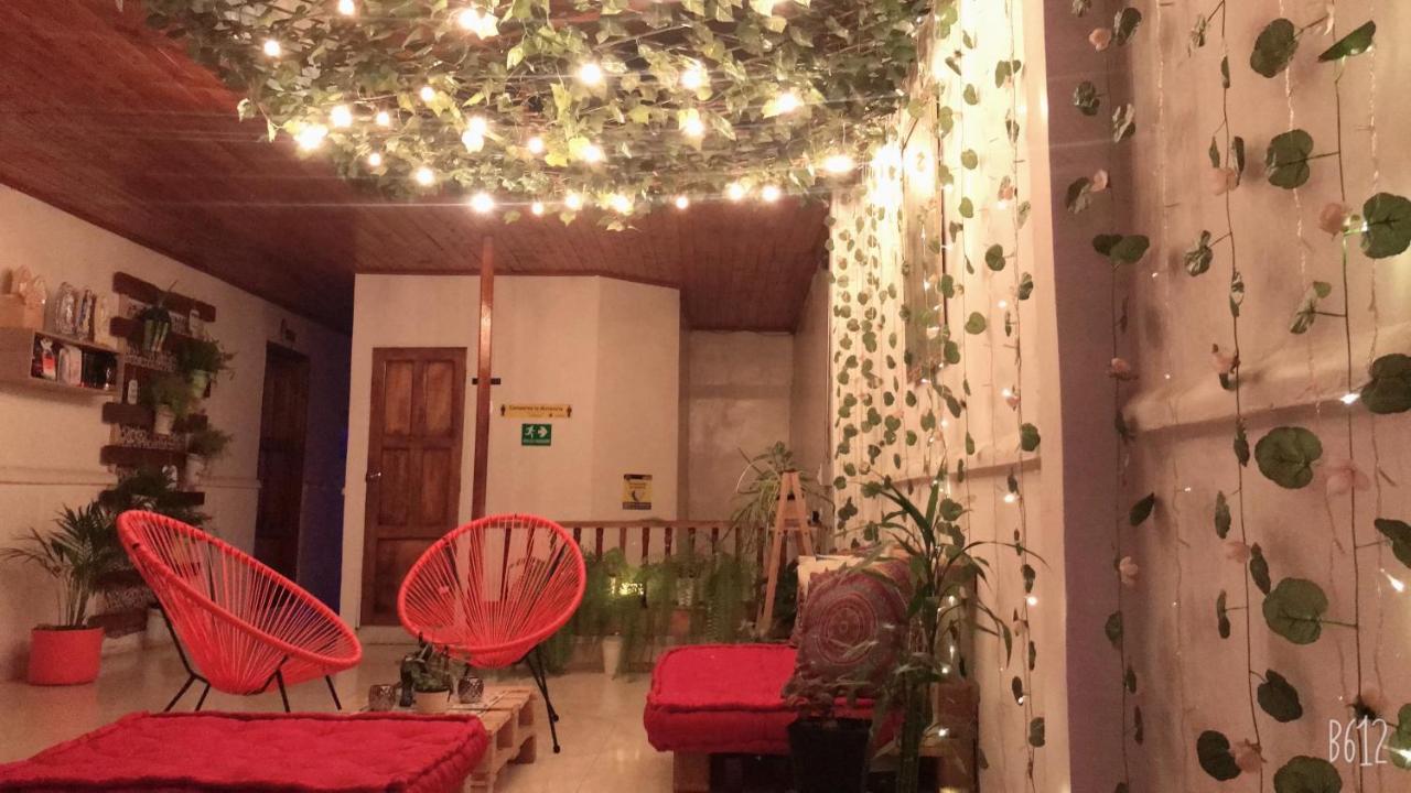 Hospedaje Casa Rosa Jardin Ngoại thất bức ảnh